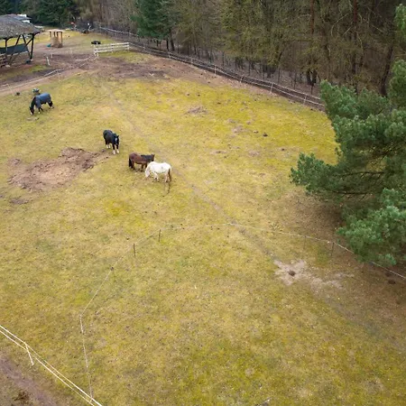 Wohnwagen Auf Tierschutz Landhof Inmitten Der * Selmsdorf